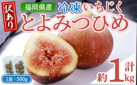 ＜不揃い・訳あり＞ 冷凍いちじく博多 とよみつひめ (計約1kg) 冷凍 いちじく イチジク フルーツ 果物 くだもの 福岡限定 オリジナルブランド＜離島配送不可＞ 【ksg1756】【農産物直売所ほたるの里】