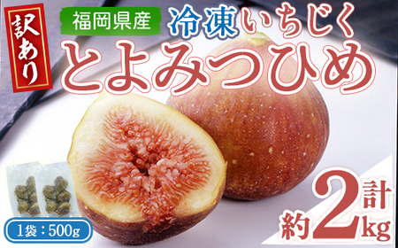 ＜不揃い・訳あり＞ 冷凍いちじく博多 とよみつひめ (計約2kg) 冷凍 いちじく イチジク フルーツ 果物 くだもの 福岡限定 オリジナルブランド＜離島配送不可＞ 【ksg1757】【農産物直売所ほたるの里】