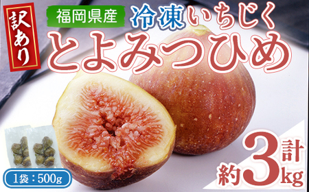 ＜不揃い・訳あり＞ 冷凍いちじく博多 とよみつひめ (計約3kg) 冷凍 いちじく イチジク フルーツ 果物 くだもの 福岡限定 オリジナルブランド＜離島配送不可＞ 【ksg1758】【農産物直売所ほたるの里】