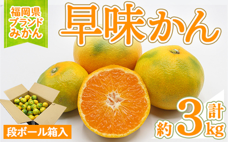 [先行予約受付中!2025年9月中旬〜10月下旬に順次発送予定]福岡ブランドみかん 早味かん (約計3kg) みかん ミカン フルーツ 果物 くだもの 柑橘 福岡限定 オリジナルブランド [離島配送不可][ksg1759][農産物直売所ほたるの里]
