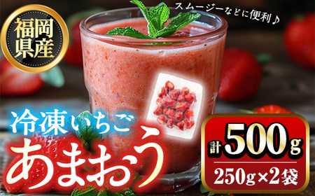 福岡県産 冷凍 あまおう(500g) 苺 いちご イチゴ ヨーグルト アイス シャーベット ジャム スムージー [離島配送不可][ksg1774][木村食品]