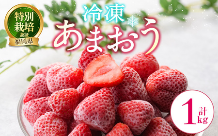 冷凍あまおう (計1kg) いちご イチゴ 苺 あまおう 冷凍いちご 冷凍イチゴ 国産 福岡県 特別栽培 果物 フルーツ アイス ジャム 冷凍フルーツ [離島配送不可][ksg1785][うるう農園]