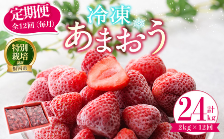 [全12回定期便(毎月)]冷凍あまおう(計24kg:2kg×12回) いちご イチゴ 苺 あまおう 冷凍いちご イチゴ 国産 福岡県 特別栽培 果物 フルーツ アイス ジャム フルーツ [離島配送不可][ksg1788][うるう農園]