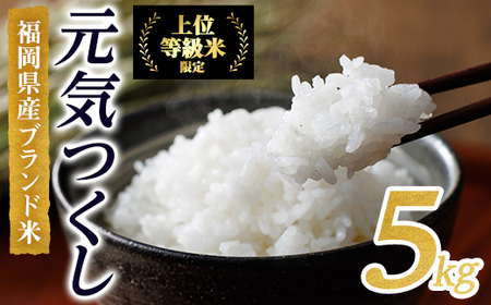 [先行予約受付中!2025年10月に順次発送予定・数量限定]JAよりお届け!福岡県産米 元気つくし (計5kg)お米 おこめ 米 こめ コメ 白米 福岡県産 ブランド米 常温 常温保存[ksg1813][農産物直売所ほたるの里]
