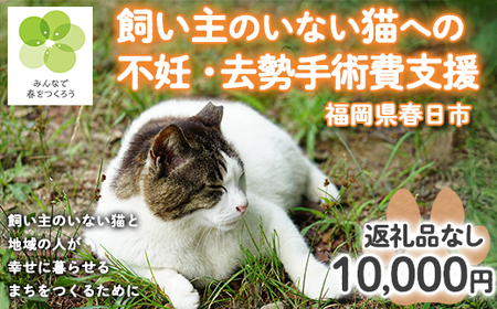 飼い主のいないねこと地域の人が幸せに暮らせるまちづくり支援 (返礼品なし・一口 10,000円) 猫 ねこ 地域猫 支援 TNR活動 去勢 【ksgsn08】【福岡県春日市】