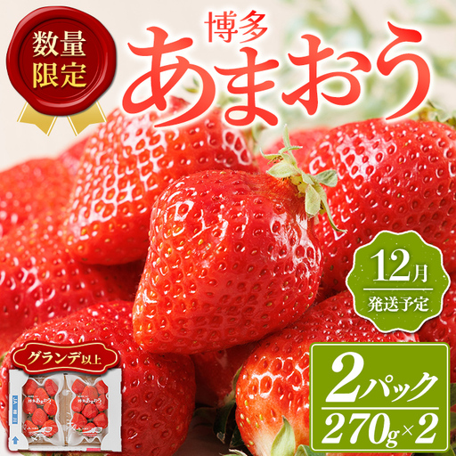 ＜数量限定・先行予約受付中！2026年12月中旬より順次発送＞福岡県産苺「あまおう」グランデ以上(計約540g)いちご 苺 フルーツ 果物 くだもの 福岡限定 家庭用 冷蔵 ＜離島配送不可＞【ksg1891】【hurrah.】