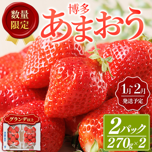 ＜数量限定・先行予約受付中！2027年1月中旬～2月上旬に順次発送＞福岡県産苺「あまおう」グランデ以上(計約540g)いちご 苺 フルーツ 果物 くだもの 福岡限定 家庭用 冷蔵 ＜離島配送不可＞【ksg1893】【hurrah.】