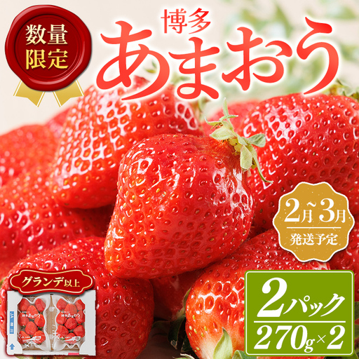 ＜数量限定・先行予約受付中！2027年2月下旬～3月末に順次発送＞福岡県産苺「あまおう」グランデ以上(計約540g)いちご 苺 フルーツ 果物 くだもの 福岡限定 家庭用 冷蔵 ＜離島配送不可＞【ksg1895】【hurrah.】