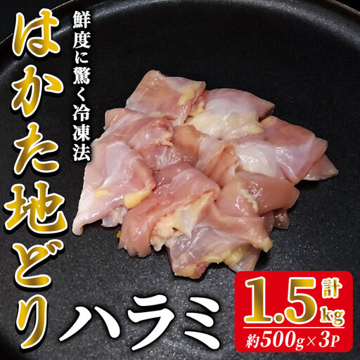 はかた地どり ハラミ (計1.5kg・500g×3P) 真空パック 希少部位のはらみ 便利な小分け鶏肉 地鶏 地どり 鶏肉 九州 国産 ハラミ肉 鶏 チキン お肉 希少部位 小分け 冷凍 急速冷凍[離島配送不可][ksg1907][E2C]