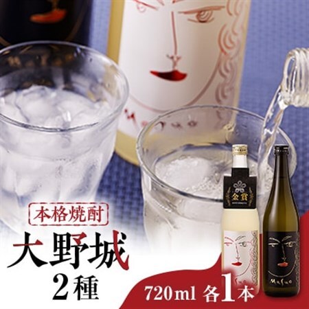 本格焼酎大野城セット_酒・アルコール 麦焼酎 焼酎 _【1451111】