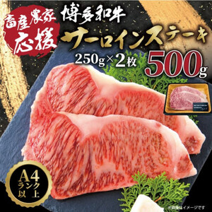 [A4〜A5]博多和牛サーロインステーキ[厳選部位](250g×2枚)_肉 ステーキ 牛肉 ビーフステーキ_[配送不可地域:離島]