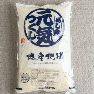 [毎月定期便]福岡県産米『元気つくし』5kg(大野城市)全3回