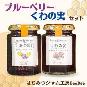 【はちみつジャム工房BeeBee】ブルーベリー・くわの実セット【1613944】