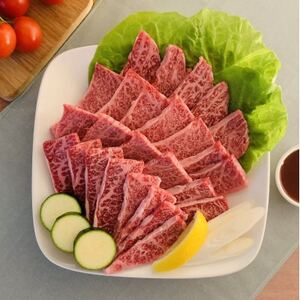 [毎月定期便][博多和牛]焼肉用 (合計500g)全12回[配送不可地域:離島]