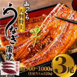 ふっくら大判特上うなぎ蒲焼 計約900〜1000g(約320g×3尾)[配送不可地域:離島]