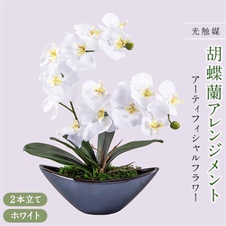アーティフィシャルフラワー胡蝶蘭アレンジメント光触媒 (ホワイト)_花・観葉植物 造花・プリザーブドフラワー 花 _【1033169】