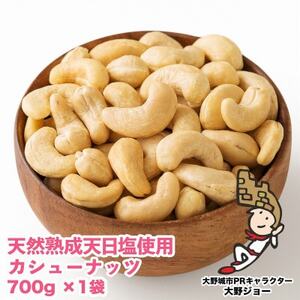 天然熟成天日塩 カシューナッツ 700g(700g×1袋)(大野城市)
