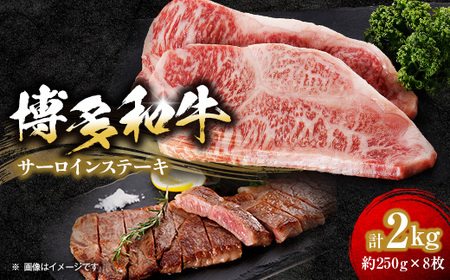 yazT[CXe[L2000g(250g×8)_ Xe[L  r[tXe[L   a  _yzsnFzy1259482z