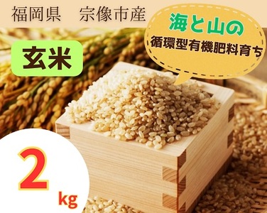 循環型有機肥料で育った玄米(夢つくし)2kg[アグリCATS]