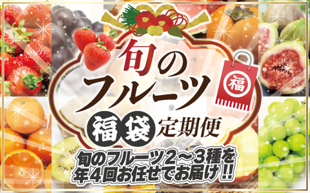 何が届くかお楽しみ!むなかた旬のフルーツ福袋定期便[年4回][JAほたるの里]