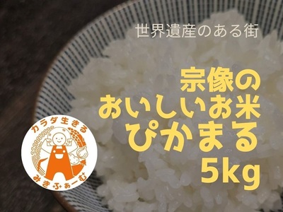 [定期便/毎月お届け/全6回]むなかた産 米 ぴかまる5kg[みきふぁーむ]