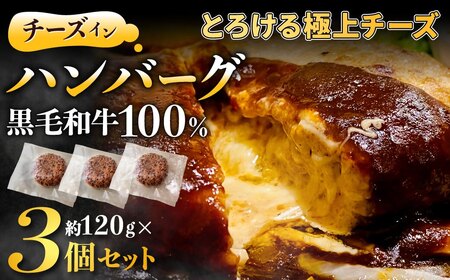 黒毛和牛100%チーズインハンバーグ(約120g×3Pセット)[FLOWER]