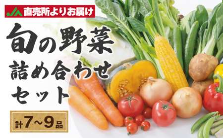 むなかた旬のお任せセット(野菜) 7〜9品[JAほたるの里]