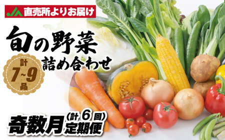 [奇数月お届け]むなかた旬のお任せセット(野菜) 7〜9品[ほたるの里]