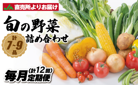 [毎月お届け]むなかた旬のお任せセット(野菜)7〜9品[JAほたるの里]