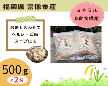 丸麦 1kg(500g×2袋)[アグリCATS]