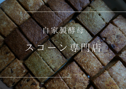 ƐyXR[̂݁y˂̂z_HA1616