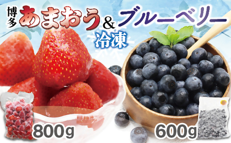 冷凍あまおう800g & 冷凍ブルーベリー600gセット 計1.4kg[JAほたるの里]