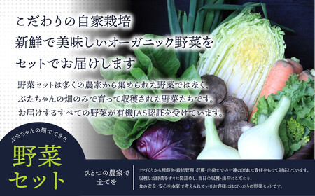 有機JAS認証 旬の野菜セット 8品[ぶたちゃんの畑]