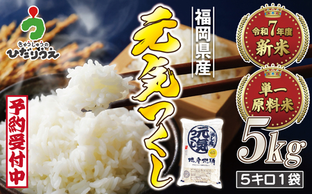 令和7年産 新米先行予約!JAよりお届け!福岡県ブランド米「元気つくし」5kg[ほたるの里]