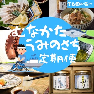 [年6回/偶数月お届け]海のまちから「絶品」海産物をお届け!むなかたうみのさち定期便