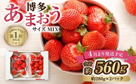 [アフター保証]4月発送!JAよりお届け!「博多あまおう」約280g×2パック[ほたるの里]