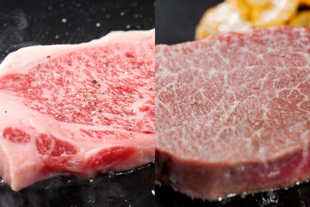 ���јa���i�����a���j�yA4�`A5�����N�z�q�� 150g×2�����T�[���C�� 250g×2��(�v800g)�y������Жؑ��H�i�z_HA1745