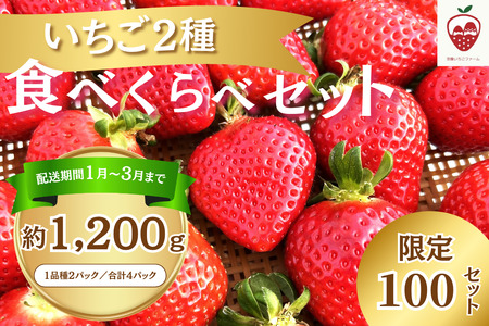 何が届くかお楽しみ!人気のいちご2品種食べ比べセット[宗像いちごファーム]