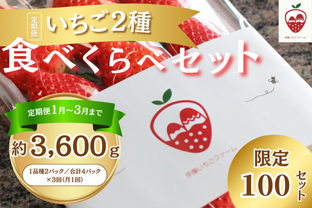 [定期便/3ヶ月連続お届け]何が届くかお楽しみ!人気のいちご2品種食べ比べ定期便 約300g×4P