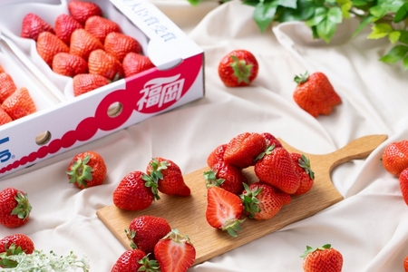 [2026年2月より順次発送]福岡産[春]あまおう4パック[南国フルーツ株式会社]