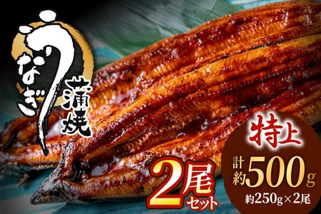 うなぎ蒲焼き 2尾セット(約250g×2尾セット) _HA1964 | うなぎ 鰻
