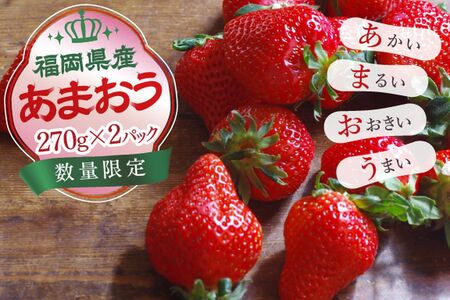 [2月15日〜3月31日順次発送]福岡県産いちご「あまおう」270g×2パック[hurrah.]