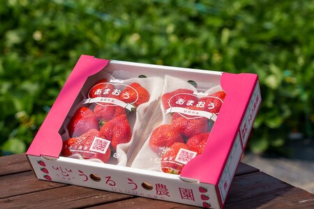 特別栽培あまおう2パック(サイズミックス)[うるう農園]