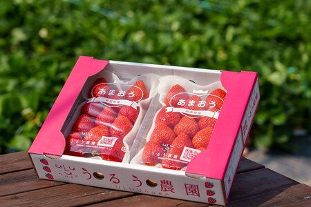 特別栽培あまおうDX2パック[うるう農園]