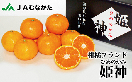 急速冷凍!冷凍みかん JAむなかた柑橘ブランド「姫の神」2kg 甘くておいしいみかん[JAほたるの里]
