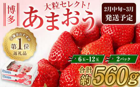 大粒セレクト!大人気のあまおう 約280g×2パック[2025年2月中旬〜3月お届け][JAほたるの里]