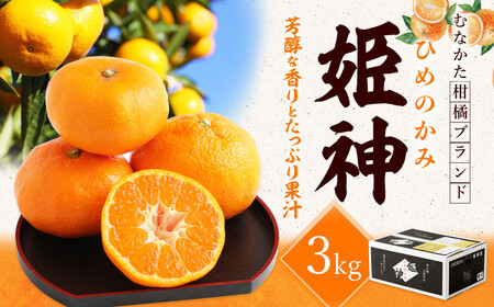 旬のミカンをお届け!JAむなかた柑橘ブランド「姫神」3kg 甘くておいしいみかん[2025年1月〜4月上旬発送][ほたるの里]