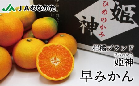 JAむなかたブランド姫神「早味かん」3kg[JAほたるの里]