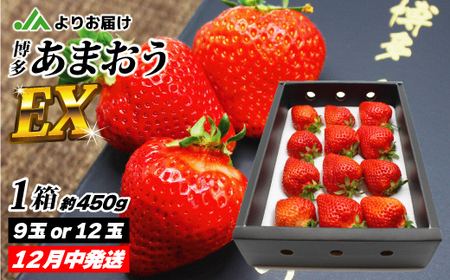 12Iu܂vEX@pϔ@450g 1yق̗z_HA0754