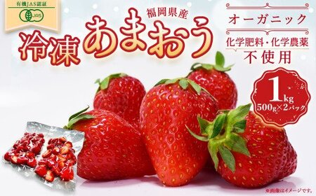 オーガニック冷凍あまおう 1kg (500g×2パック)[伊世いちご畑]